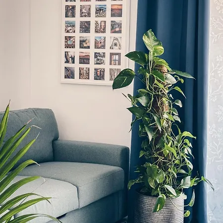 Don Pietro 1927 Отель типа 