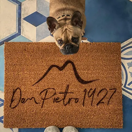 Don Pietro 1927 Отель типа 