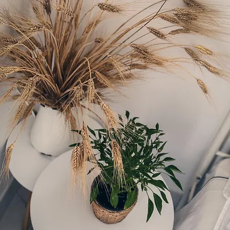 Don Pietro 1927 Отель типа 