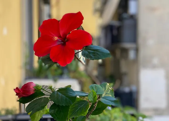 Bed & Breakfast Don Pietro 1927