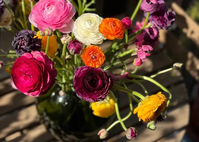 Bed & Breakfast Don Pietro 1927 Neapel