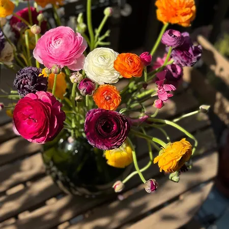 Alojamento de Acomodação e Pequeno-almoço Don Pietro 1927 Nápoles