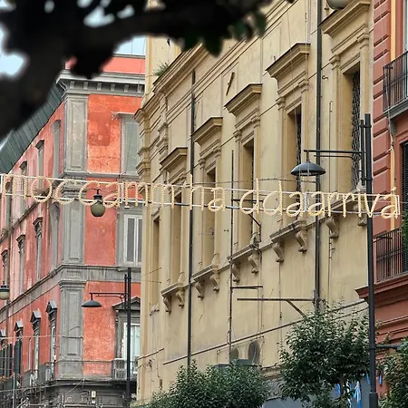 Don Pietro 1927 Bed & Breakfast Naples